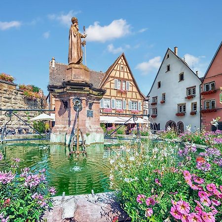 Hotel Colmar Vignes Eguisheim Eksteriør bilde