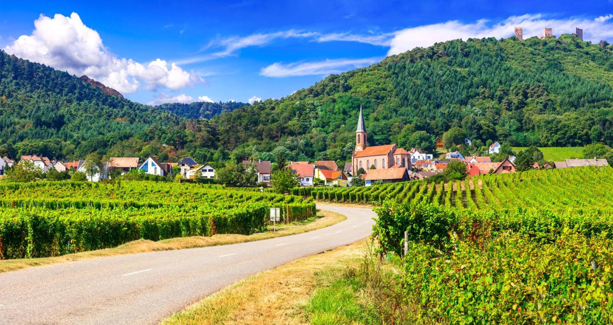 Hotel Colmar Vignes Eguisheim Eksteriør bilde